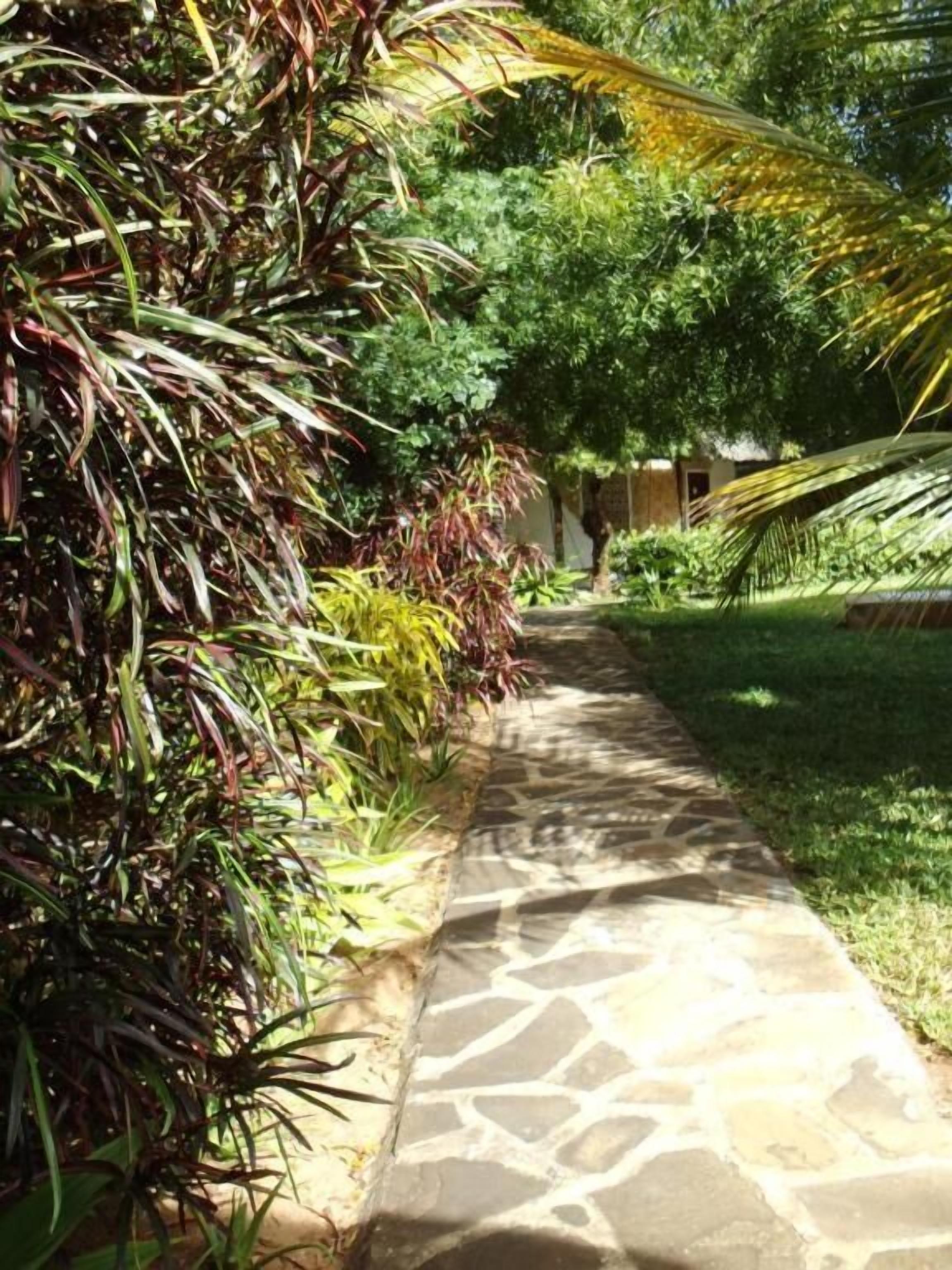 Un sendero de piedra bordeado por exuberante follaje y una palmera.