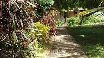 A stone pathway flanked by lush greenery and a palm tree.