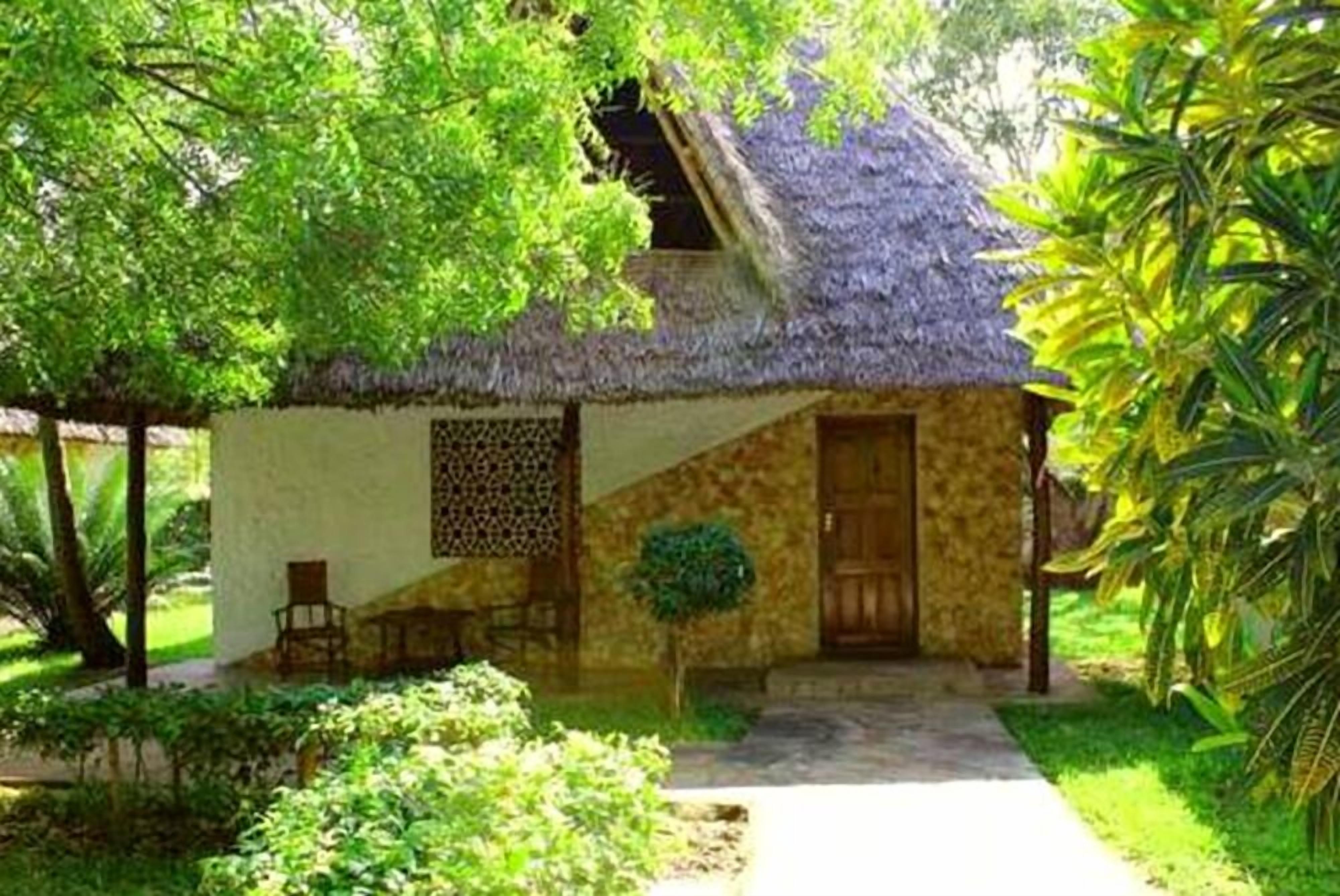 Una casa con techo de paja, un muro de piedra, una puerta de madera y un pequeño jardín con un banco y una planta en maceta.
