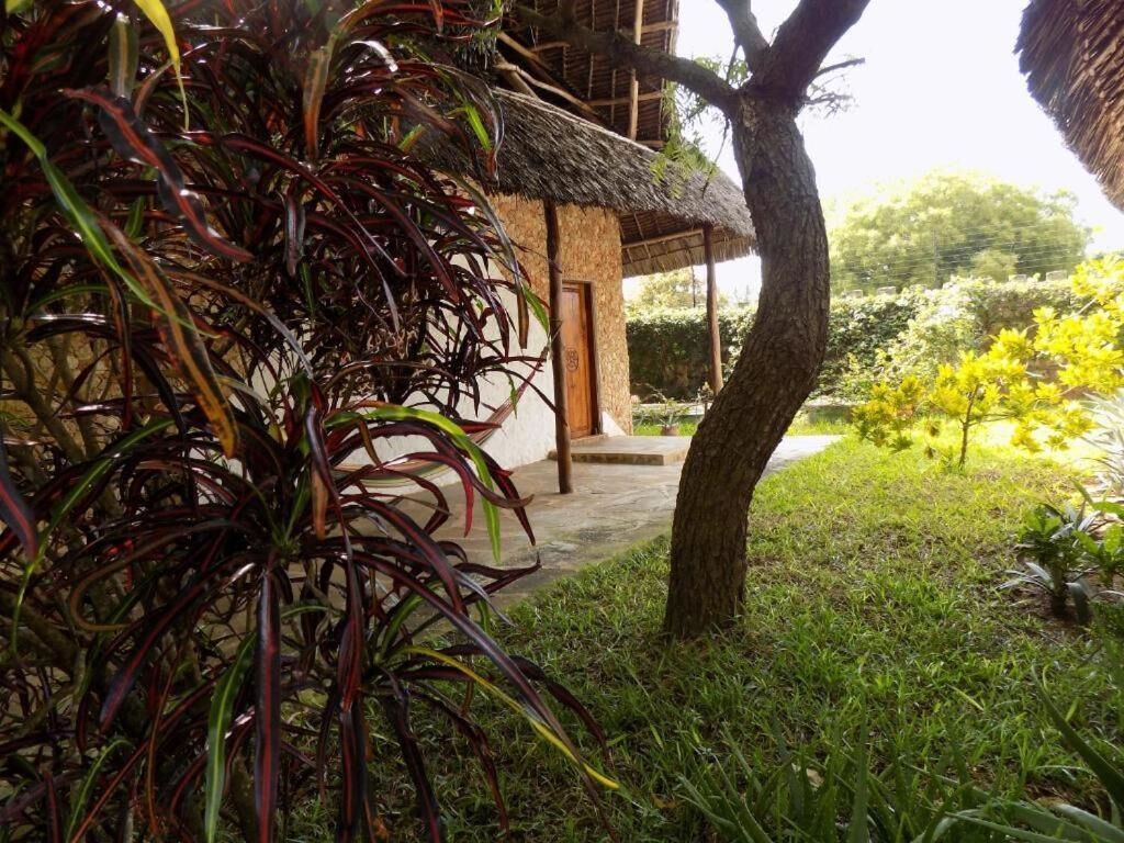 A thatched-roof structure with a wooden door, surrounded by lush greenery and a well-maintained lawn.