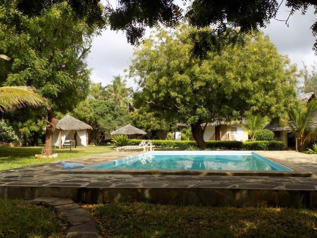 Una piscina rodeada de exuberante vegetación y cabañas con techo de paja.