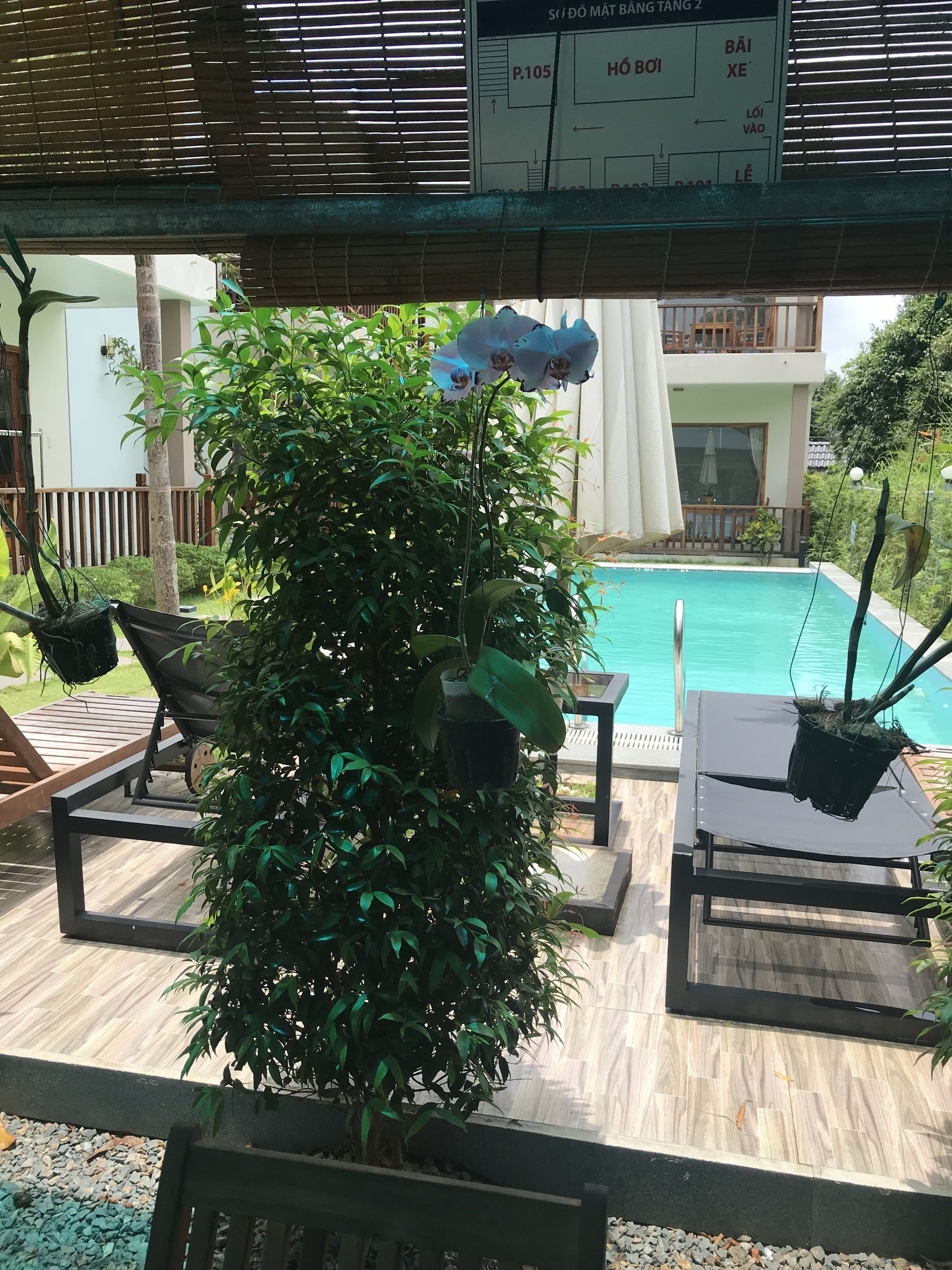 king room, garden view | minibar, desk, blackout curtains, free wifi