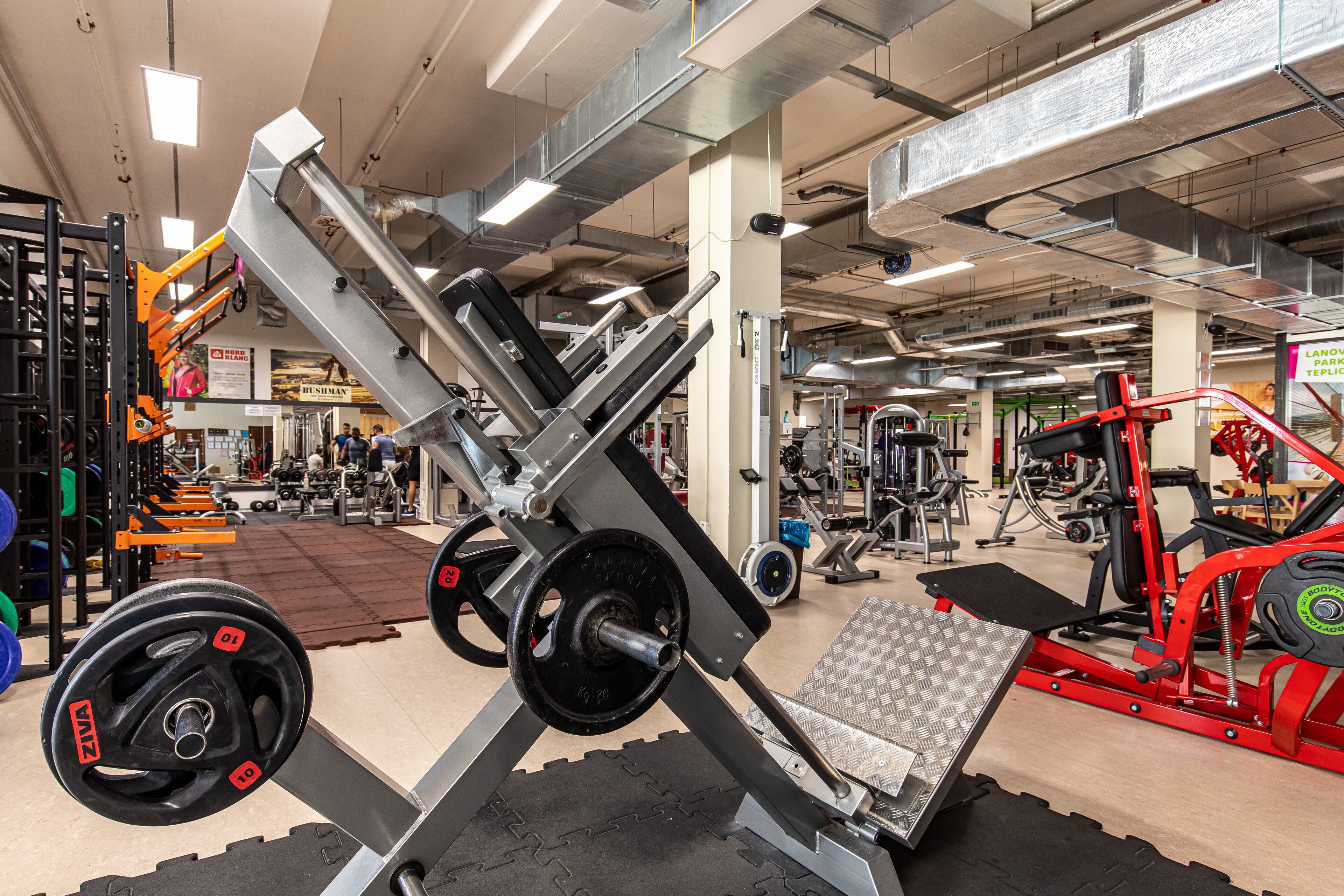 A gym with various exercise equipment, including weight machines and free weights.