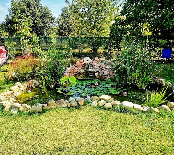 Un jardin avec un étang, des rochers et différentes sortes de plantes.
