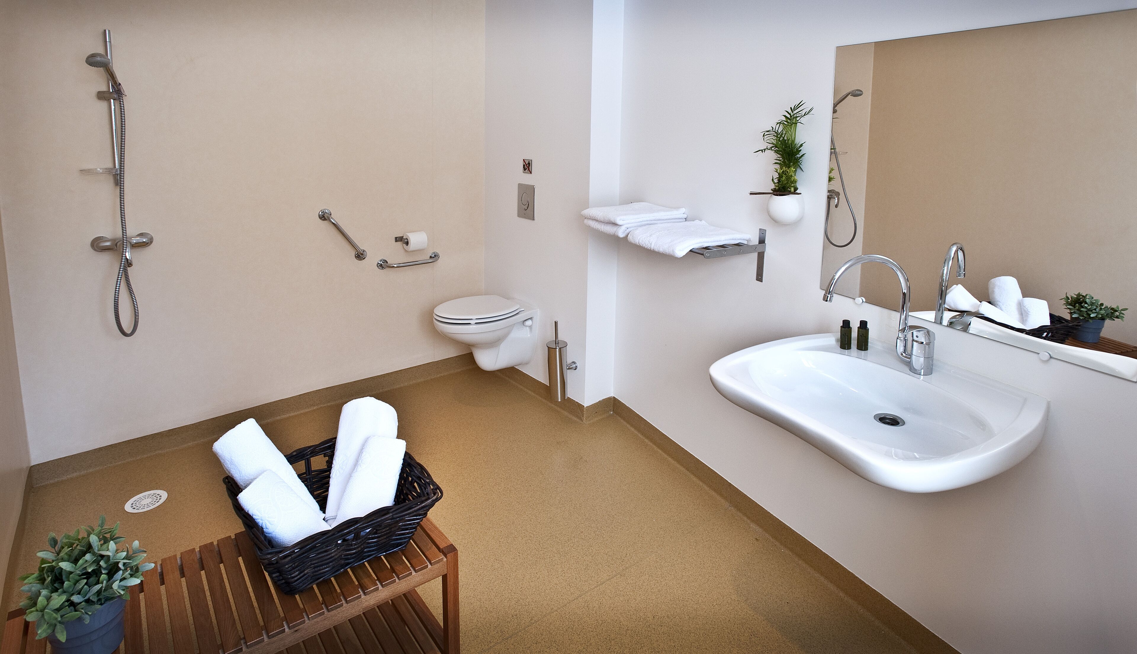 comfort double room, accessible | bathroom amenities | shower, free toiletries, hair dryer, towels