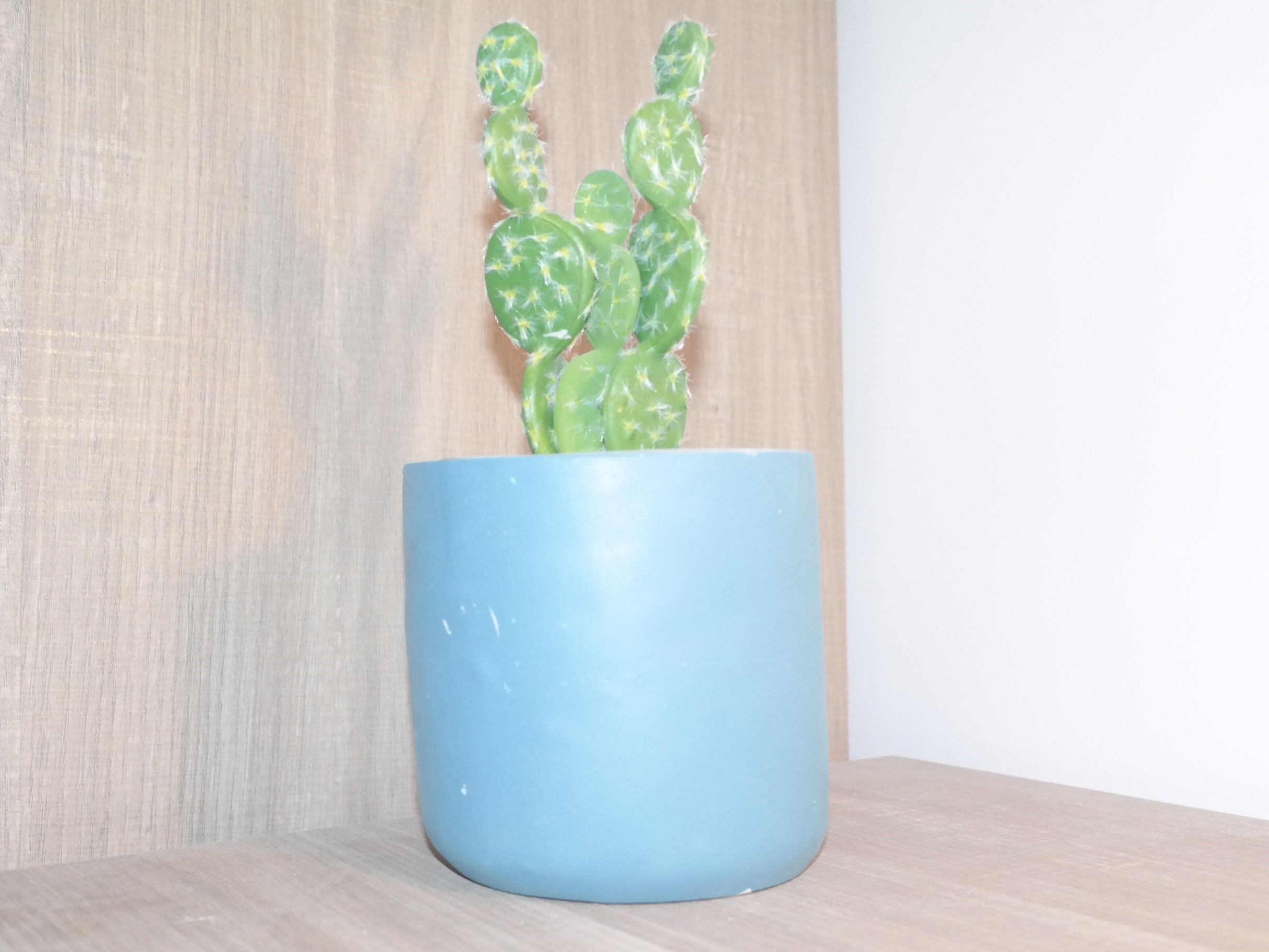 A cactus plant in a blue pot on a wooden surface.