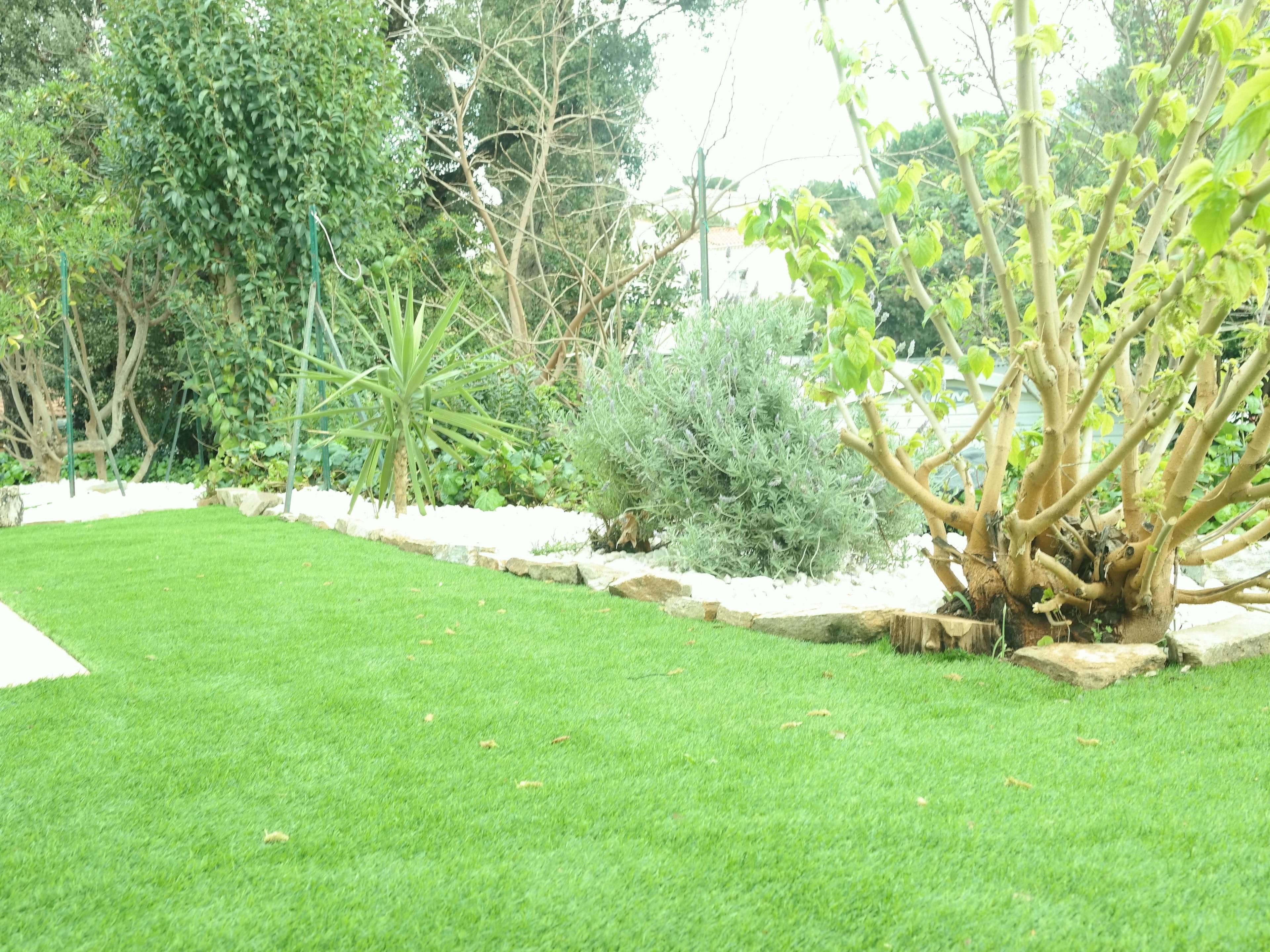 A well-maintained garden with a variety of plants and a neatly trimmed lawn.
