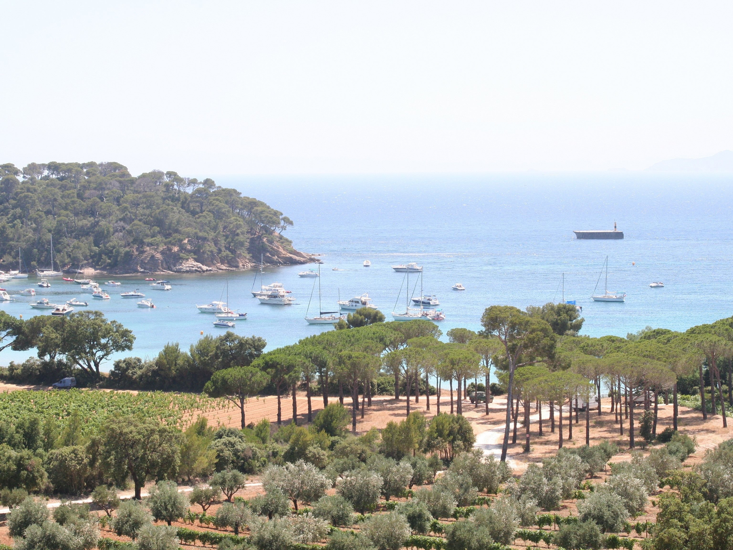 A coastal landscape with boats on the water, trees, and a hilly terrain.