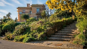 Ein Gebäude mit einer Steinstufen-Treppe, die zu einer Tür hinaufführt, umgeben von üppigem Grün und blauem Himmel.