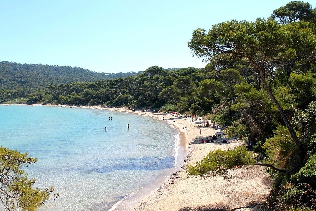 Una spiaggia con acque cristalline, una riva sabbiosa e alberi verdi e rigogliosi.