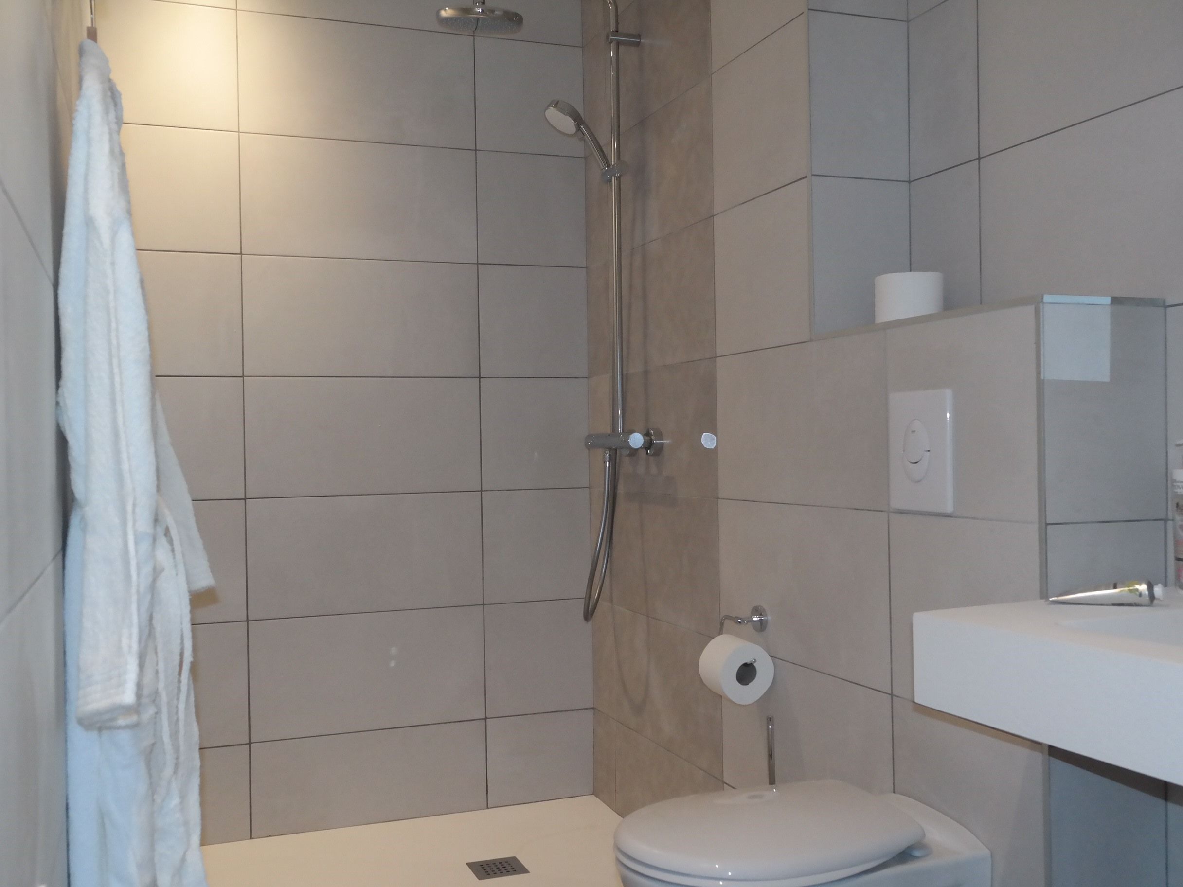 A modern bathroom with a shower, toilet, and sink.