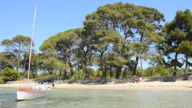 Ein Strand mit klarem Wasser, einer Segelyacht und dichter Baumlandschaft im Hintergrund.