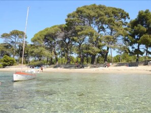Una playa con agua cristalina, un velero y árboles frondosos al fondo.