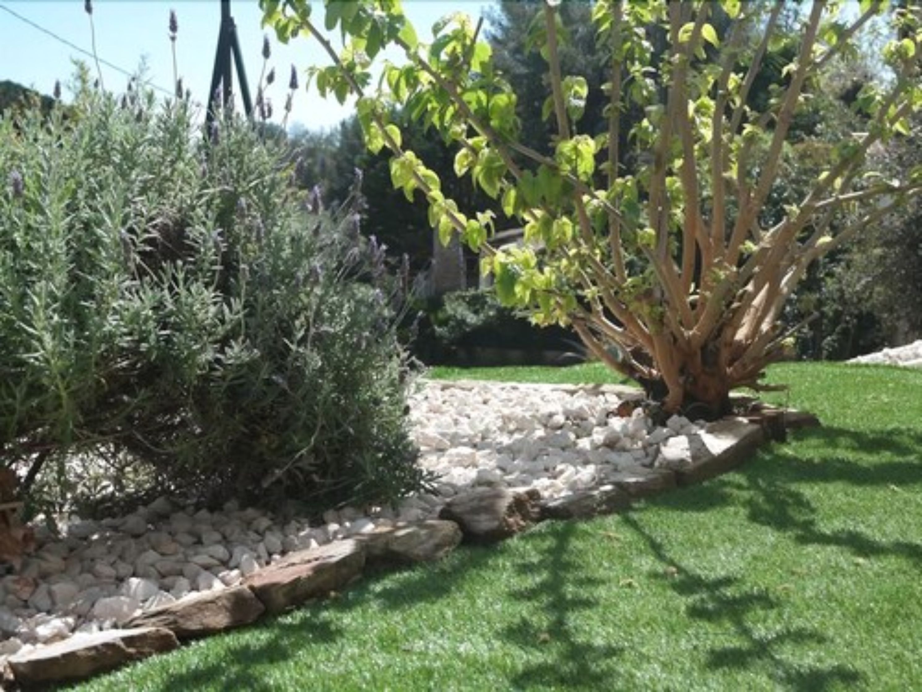Un giardino con diverse piante, un cordolo di rocce e un prato ben curato.