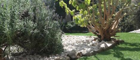 A garden with a variety of plants, a rock border, and a well-maintained lawn.