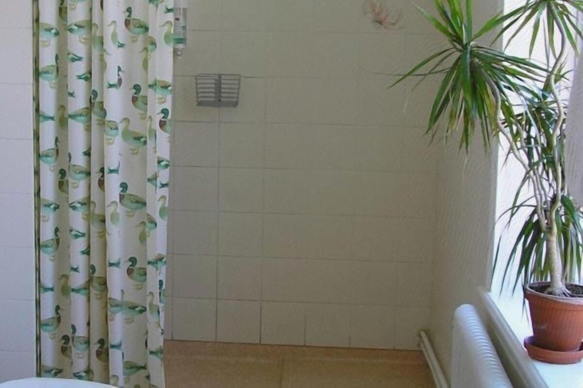 Bathroom | Shower, free toiletries, hair dryer (on request), towels