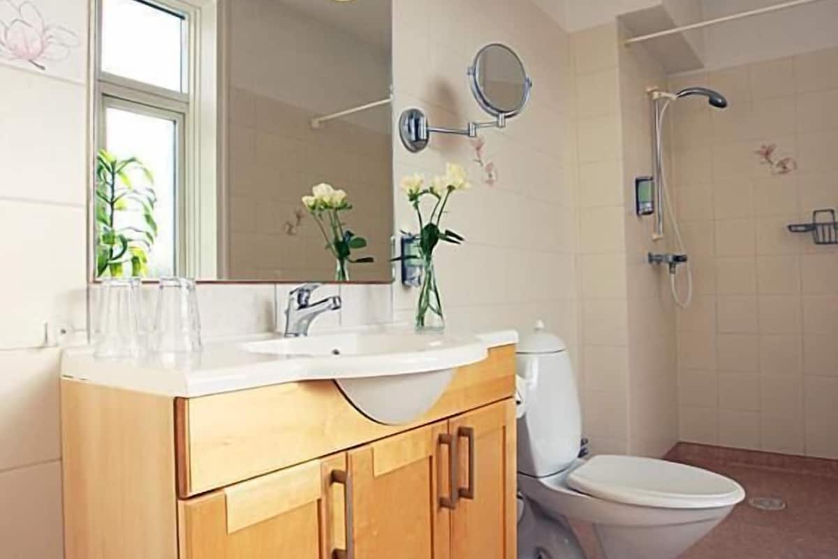 shower, free toiletries, hair dryer, towels