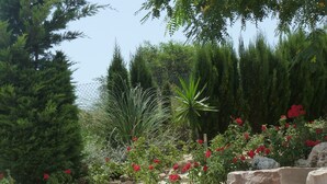 Een tuin met diverse planten, waaronder rode bloemen en groene beplanting, grote rotsen en houten trappen.