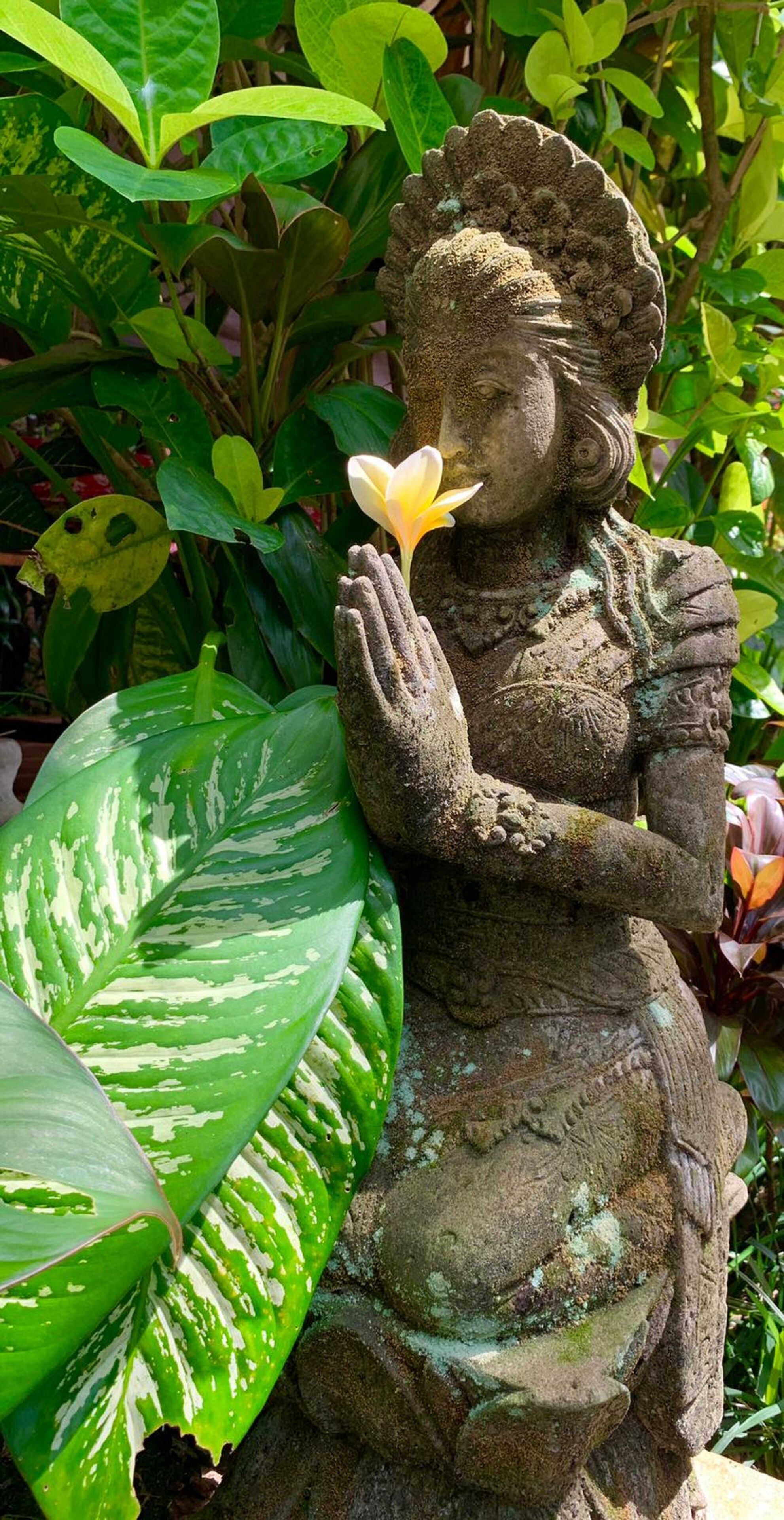 Une statue représentant une figure assise, les mains jointes en position de prière, entourée d’un feuillage verdoyant et luxuriant.