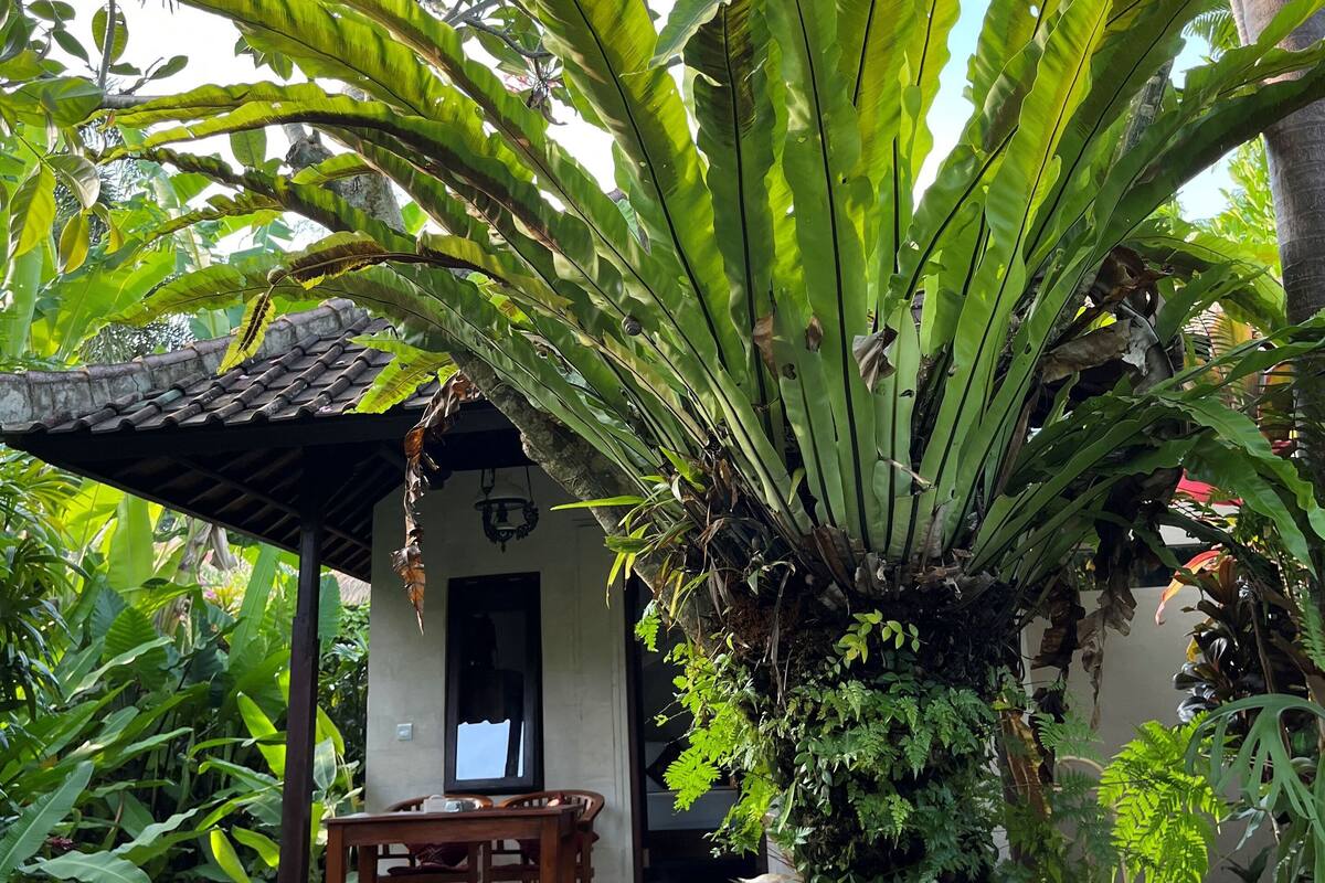 A tropical garden with a dining area, including a table and chairs, surrounded by lush greenery and a thatched roof structure.