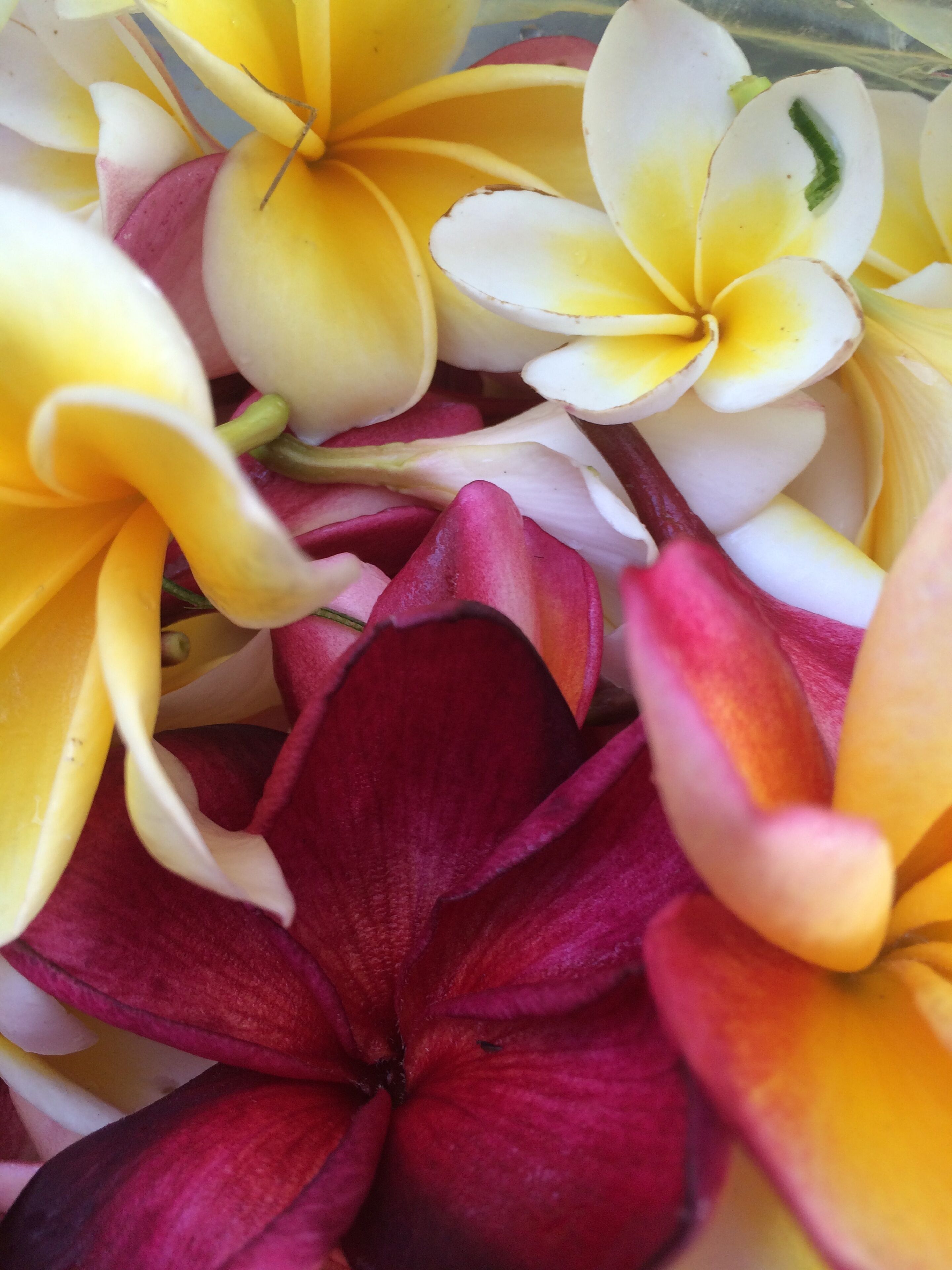 Foto - Sama's Cottages and Villas