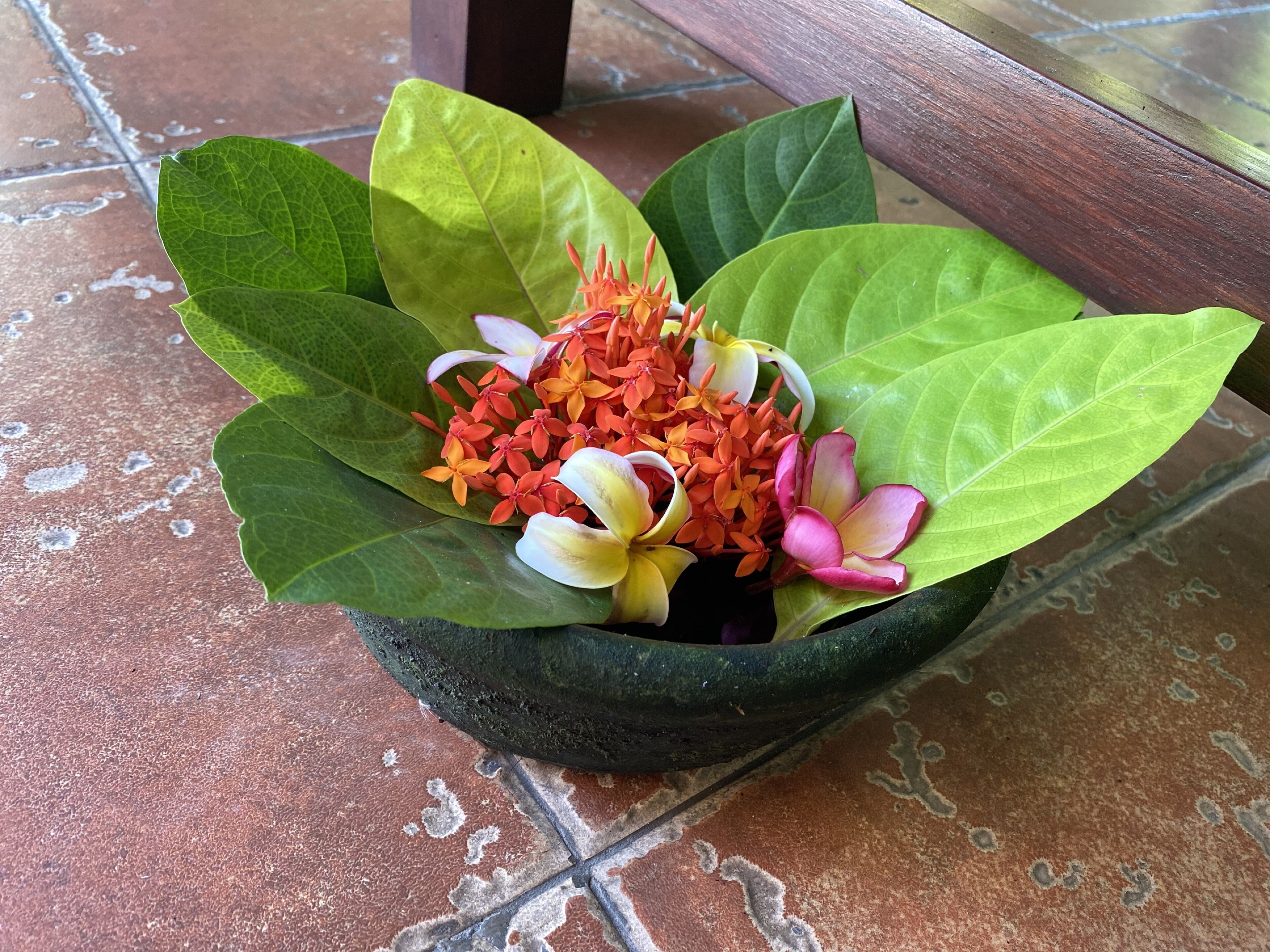 Arranjo floral em uma tigela de pedra sobre piso de azulejos.
