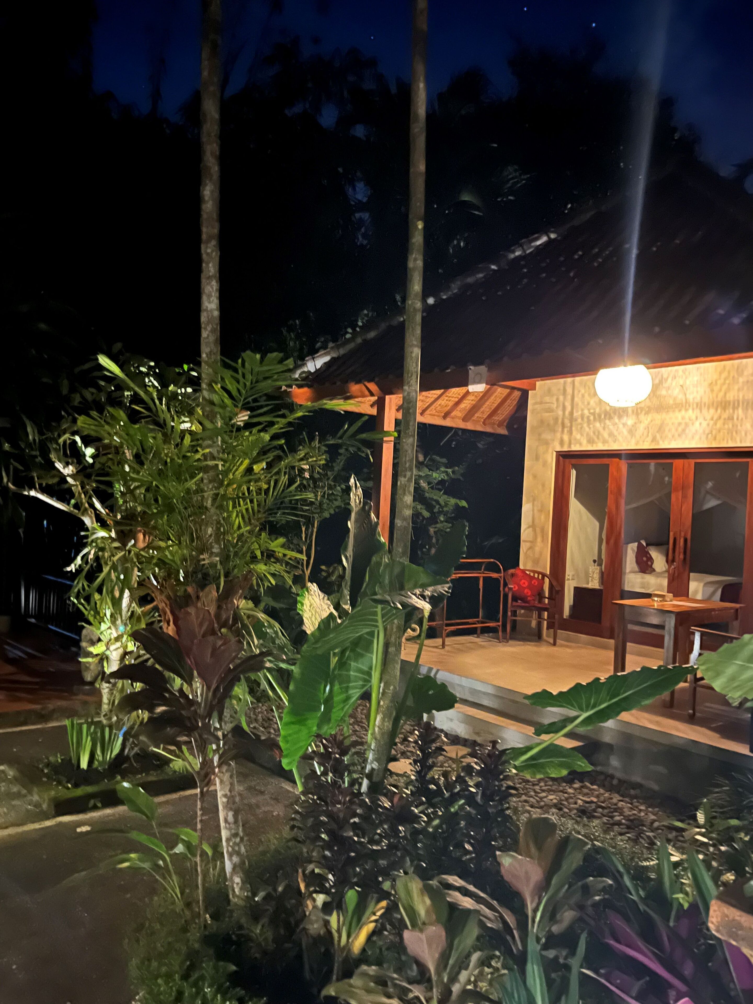 A well-lit outdoor area with a wooden pergola, a dining table, and chairs. There is a variety of tropical plants and a small water feature.