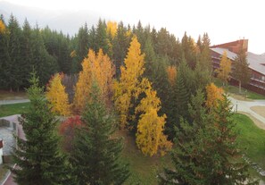 Un bâtiment entouré d’arbres aux feuilles d’automne.