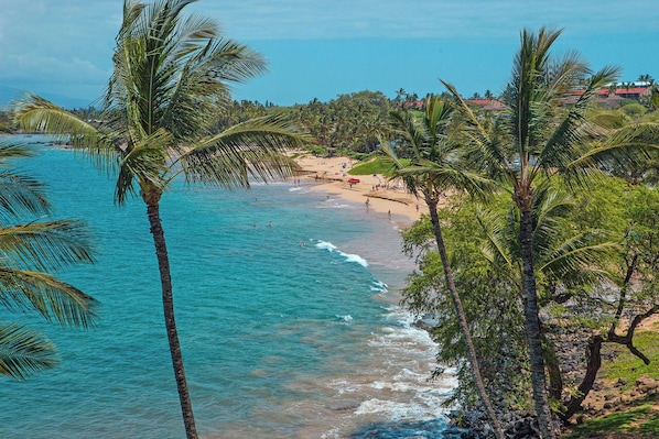 Una playa cerca