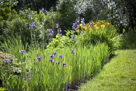Garden. Enaforsholm Fjällgård