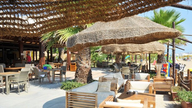 An outdoor seating area with wicker furniture, a large woven umbrella, and a palm tree.