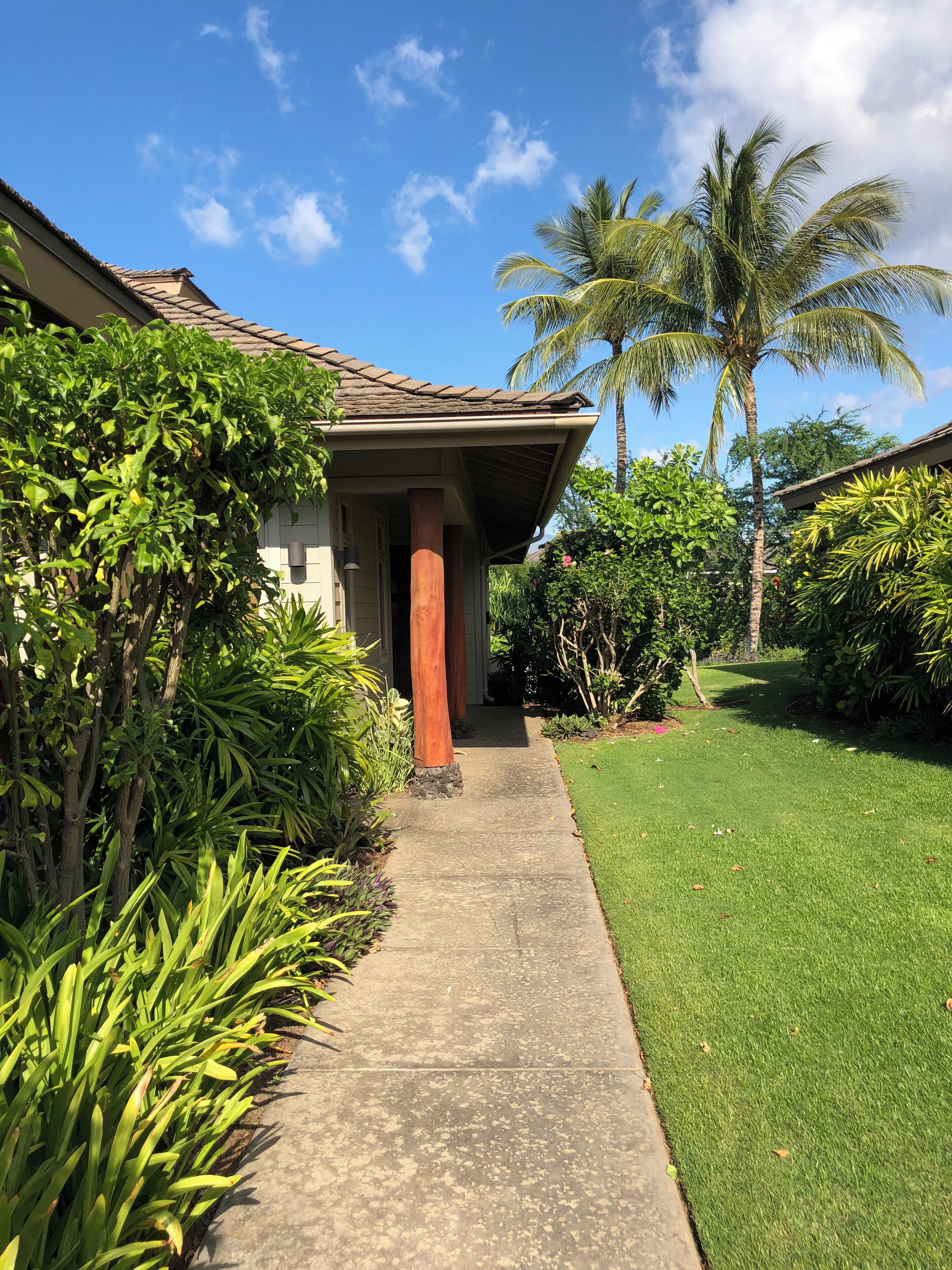 A pathway leading to a building with a tiled roof, surrounded by lush greenery and palm trees.