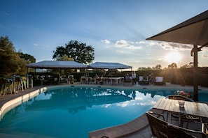 Un espace piscine agrémenté de chaises longues et de parasols, entouré d’arbres et surplombé d’un ciel dégagé.