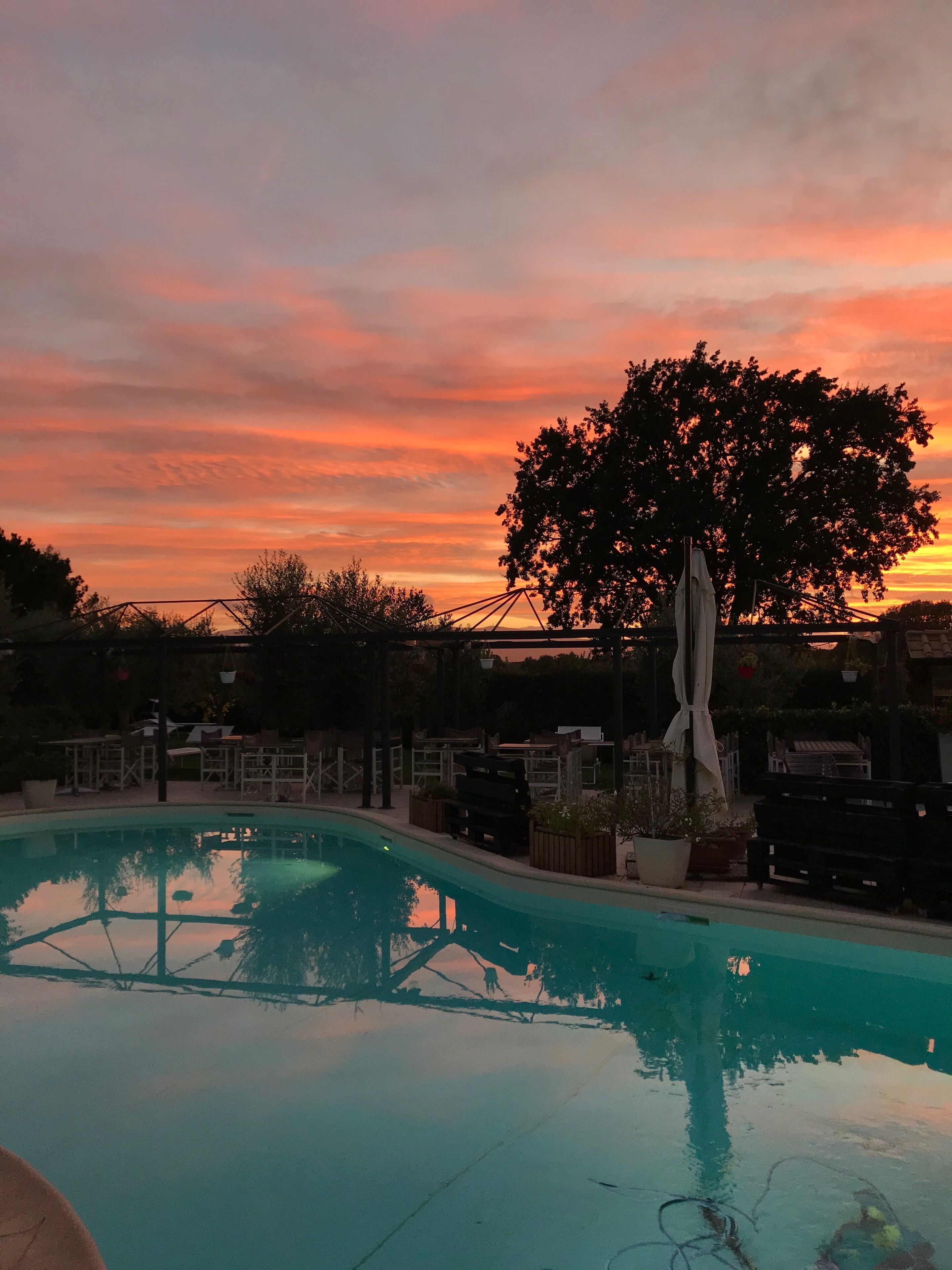 A swimming pool with a sunset view, surrounded by outdoor furniture and a large tree.