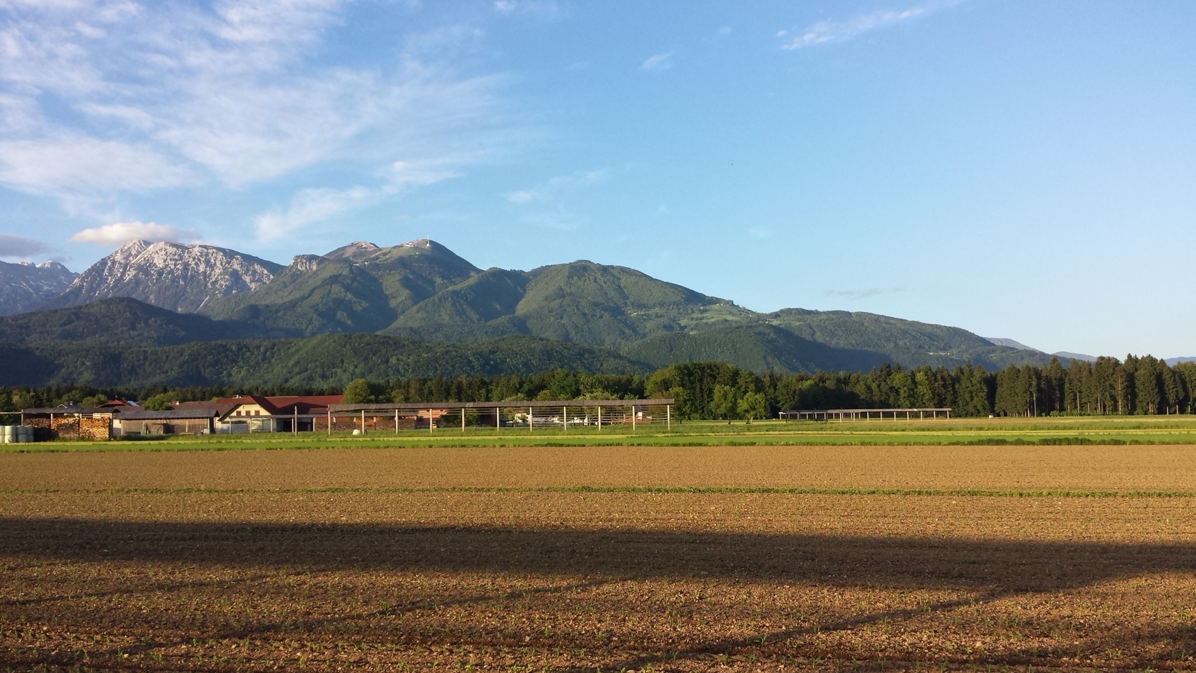 Photo - Mama's House