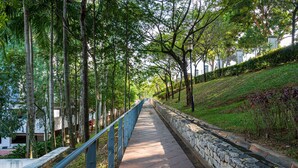 Un chemin pavé, bordé d’arbres et d’un mur de pierres, mène à un bâtiment doté d’une balustrade bleue.