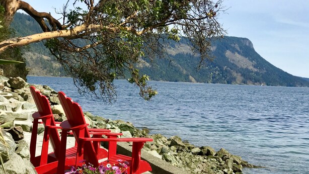 A lakeside view with red Adirondack chairs and a potted plant. - Maple Bay beachfront suite, just steps to your private beach patio (Duncan)
