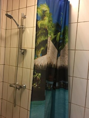 Apartment, 1 Bedroom, Non Smoking | Bathroom shower