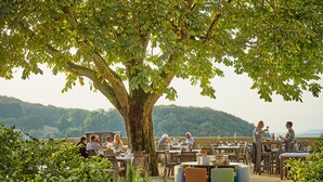 Un área de comedor al aire libre con mesas y sillas bajo un árbol grande, rodeada de vegetación y con vistas a un paisaje pintoresco.