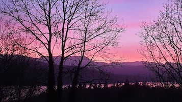 Ein Baum vor einem Sonnenuntergangshimmel.