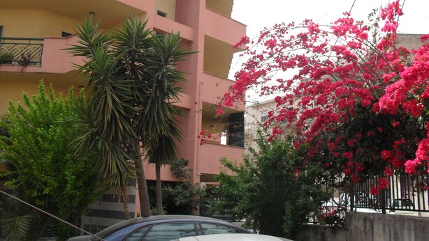 A multi-story building with balconies, surrounded by greenery and parked cars. - B&B Agave (Reggio Calabria)