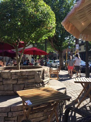 Outdoor dining - Luxurious Zen Modern in the Historic N. Mississippi District. Sanitized , clean! (Portland)