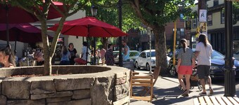 Luxurious Zen Modern in the Historic N. Mississippi District. Sanitized , clean!