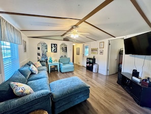 スマートテレビ、テレビゲーム、DVD プレーヤー、書庫