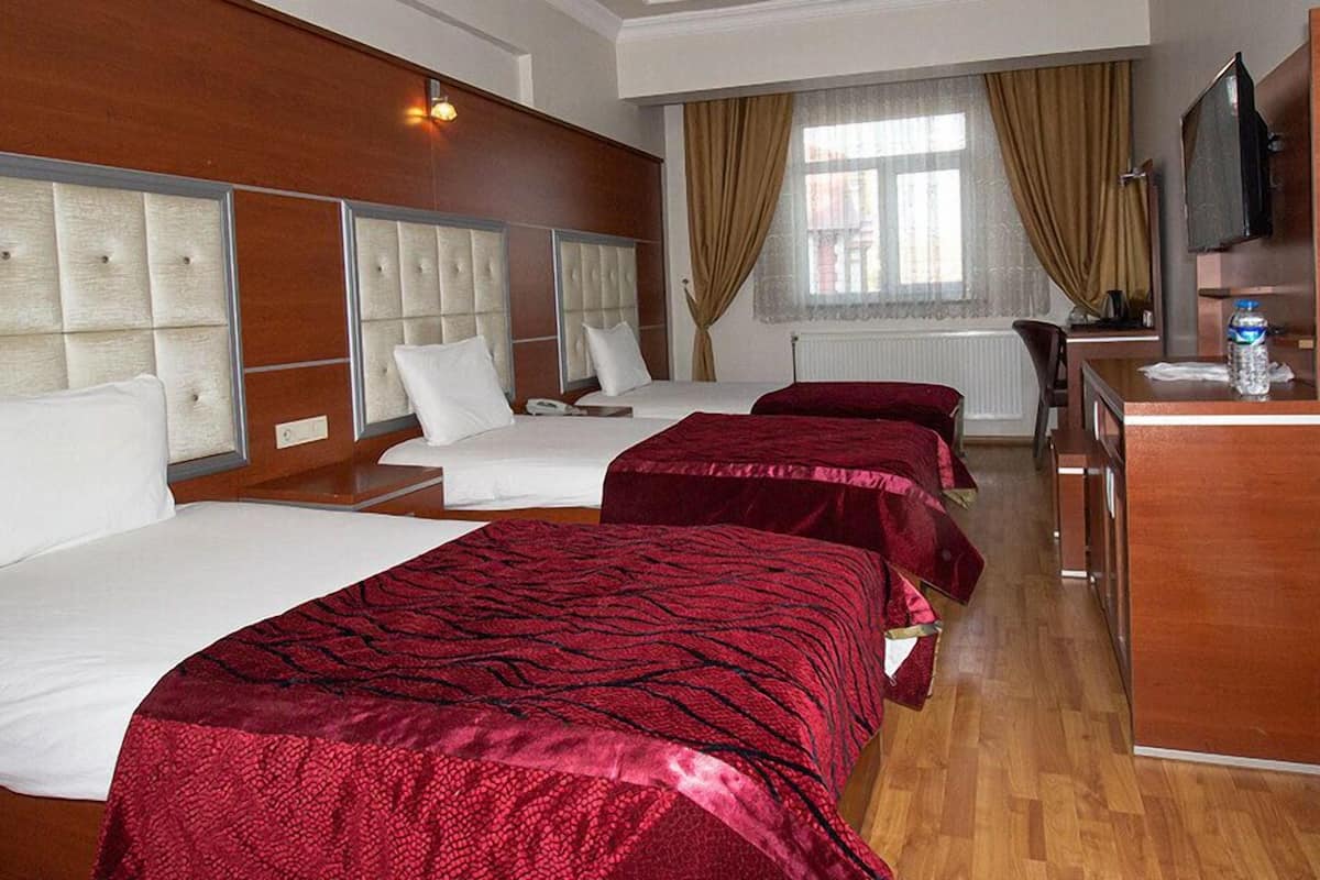 Triple Room | Desk, iron/ironing board, free WiFi