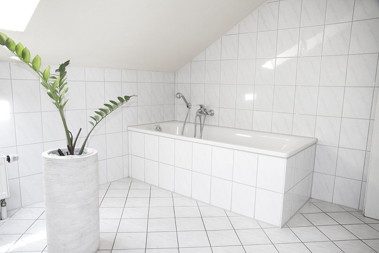 shower, free toiletries, hair dryer, slippers