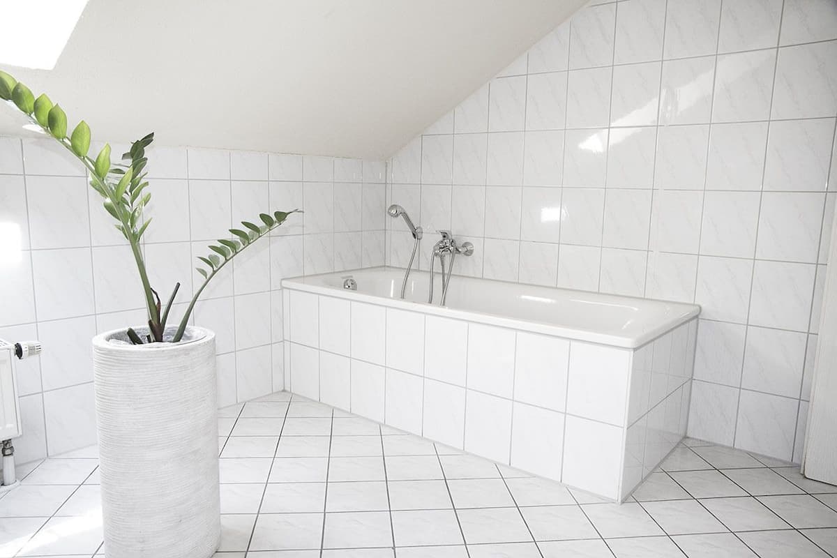 shower, free toiletries, hair dryer, slippers