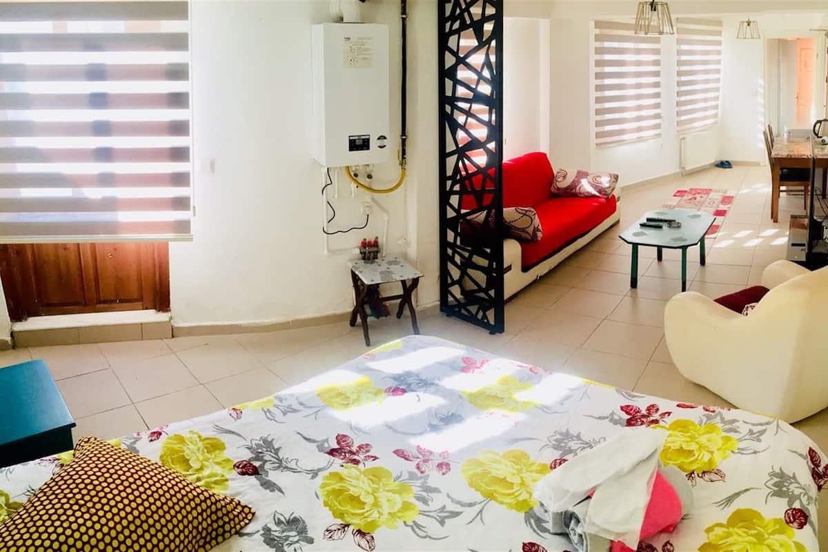 Premium bedding, iron/ironing board, free WiFi
