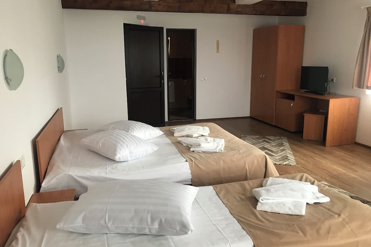 basic room | 1 bedroom, in-room safe, free wifi, bed sheets