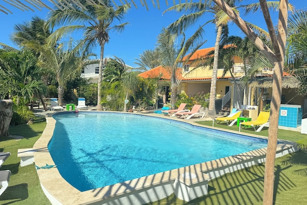 Outdoor pool, pool umbrellas
